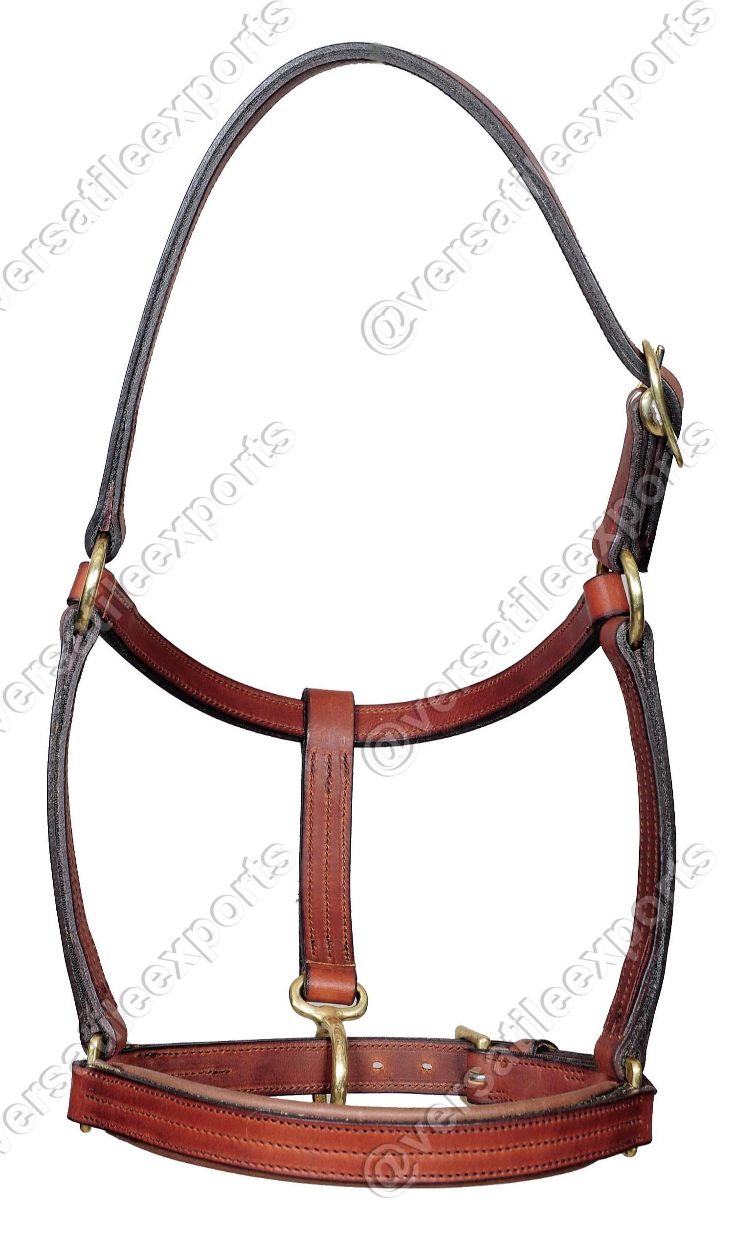Halter Draft